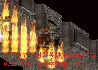 ����ùš����Ӣ�۴�6662����302600249�ڴ����п���������