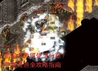 ̤�����δ������٣�Ѱ������ȫ����ָ��