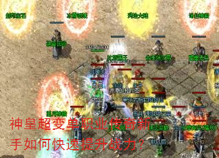 ��ʳ��䵥ְҵ����������ο�������ս����