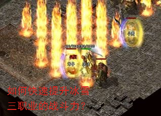 ��ο���������ѩ��ְҵ��ս������