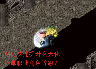 ��ο����������컯��ְҵ��ɫ�ȼ���