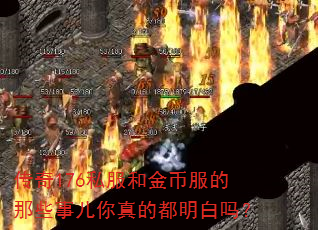 ����176˽���ͽ�ҷ�����Щ�¶�����Ķ�������