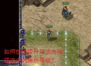 如何快速提升玛法大陆征途中的角色等级? 如何快速提升玛法大陆征途中的角色等级?
