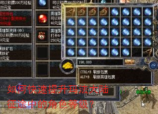 如何快速提升玛法大陆征途中的角色等级? 如何快速提升玛法大陆征途中的角色等级?