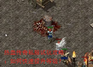 热血传奇私服试玩攻略:如何快速提升等级? 热血传奇私服试玩攻略:如何快速提升等级?