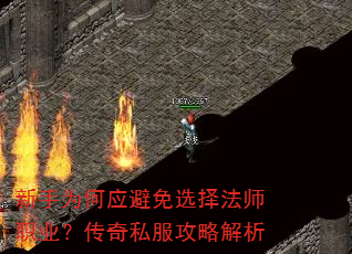 ����Ϊ��Ӧ����ѡ��ʦְҵ������˽�����Խ���