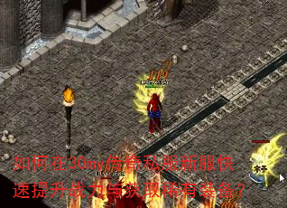 如何在30my传奇私服新服快速提升战力与获取稀有装备? 如何在30my传奇私服新服快速提升战力与获取稀有装备?