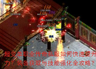 ���䵥ְҵ����˽����ο�������ս����װ����ȡ�뼼��ǿ��ȫ���ԣ�