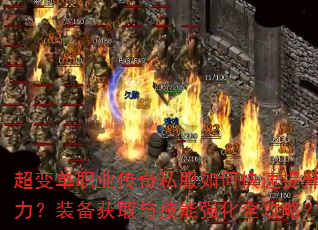 ���䵥ְҵ����˽����ο�������ս����װ����ȡ�뼼��ǿ��ȫ���ԣ�