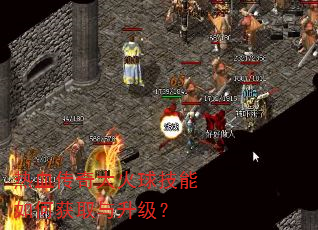 ��Ѫ������������λ�ȡ��������