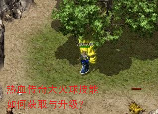 ��Ѫ������������λ�ȡ��������