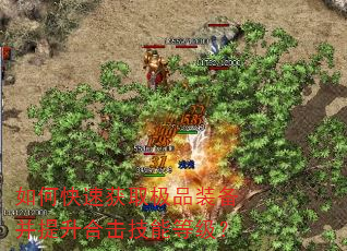 如何快速获取极品装备并提升合击技能等级? 如何快速获取极品装备并提升合击技能等级?