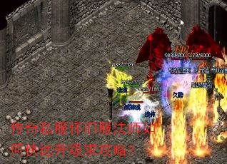 ����˽�����ɷ���ʦ��ο����������ԣ�