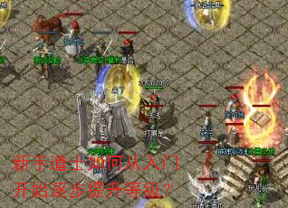 新手道士如何从入门开始逐步提升等级? 新手道士如何从入门开始逐步提升等级?