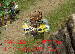���ѡ��սʿ����ʦ���ǵ�ʿ��Ϊ��Ĵ���ְҵ��㣿