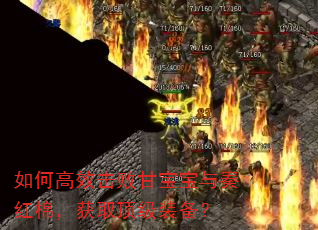 如何高效击败甘宝宝与秦红棉,获取顶级装备? 如何高效击败甘宝宝与秦红棉,获取顶级装备?