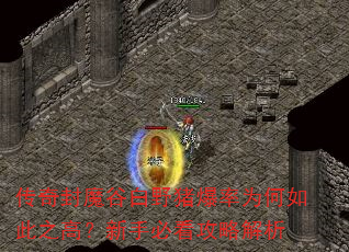 传奇封魔谷白野猪爆率为何如此之高?新手必看攻略解析 传奇封魔谷白野猪爆率为何如此之高?新手必看攻略解析