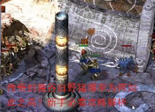 传奇封魔谷白野猪爆率为何如此之高?新手必看攻略解析 传奇封魔谷白野猪爆率为何如此之高?新手必看攻略解析
