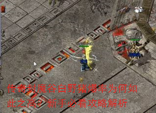 传奇封魔谷白野猪爆率为何如此之高?新手必看攻略解析 传奇封魔谷白野猪爆率为何如此之高?新手必看攻略解析
