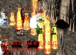 如何选择最适合新手的红月热血传奇私服职业? 如何选择最适合新手的红月热血传奇私服职业?