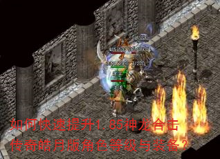 如何快速提升1.85神龙合击传奇皓月版角色等级与装备? 如何快速提升1.85神龙合击传奇皓月版角色等级与装备?