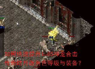 如何快速提升1.85神龙合击传奇皓月版角色等级与装备? 如何快速提升1.85神龙合击传奇皓月版角色等级与装备?
