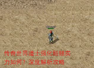 传奇世界道士强化骷髅实力如何?深度解析攻略 传奇世界道士强化骷髅实力如何?深度解析攻略