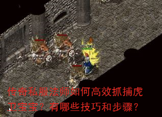����˽����ʦ��θ�Чץ����������������Щ���ɺͲ��裿