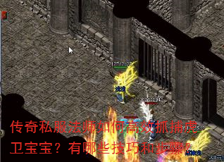 ����˽����ʦ��θ�Чץ����������������Щ���ɺͲ��裿