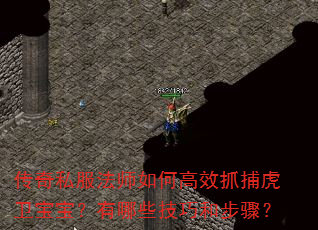 ����˽����ʦ��θ�Чץ����������������Щ���ɺͲ��裿
