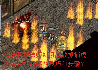 ����˽����ʦ��θ�Чץ����������������Щ���ɺͲ��裿