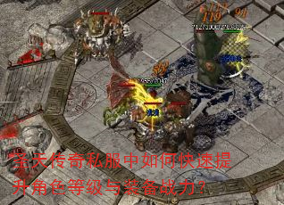 ʥ�촫��˽������ο���������ɫ�ȼ���װ��ս����