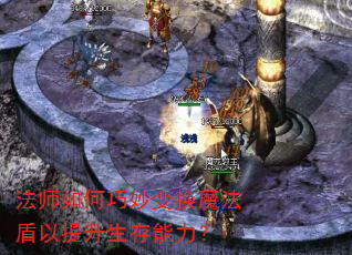 ��ʦ�������任ħ��������������������