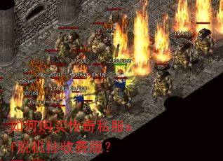 ��ι�����˽��sf�ѻ����շѰ棿