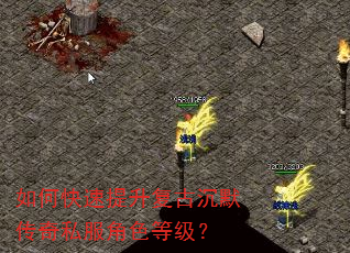 如何快速提升复古沉默传奇私服角色等级? 如何快速提升复古沉默传奇私服角色等级?
