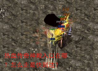 热血传奇神殿入口在哪?怎么走最快到达? 热血传奇神殿入口在哪?怎么走最快到达?
