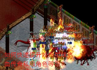 如何快速提升妙奇星球热血传奇私服角色等级? 如何快速提升妙奇星球热血传奇私服角色等级?