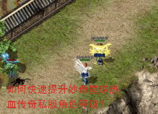 如何快速提升妙奇星球热血传奇私服角色等级? 如何快速提升妙奇星球热血传奇私服角色等级?