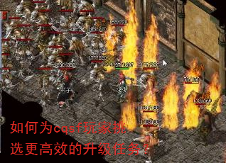 ���Ϊcqsf�����ѡ����Ч����������