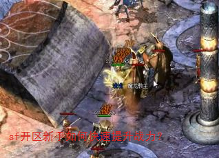 sf开区新手如何快速提升战力? sf开区新手如何快速提升战力?