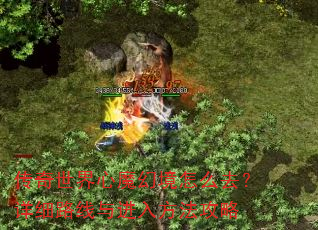 ����������ħ�þ���ôȥ����ϸ·������뷽������