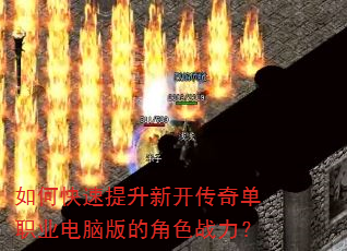 ��ο��������¿����浥ְҵ���԰�Ľ�ɫս����