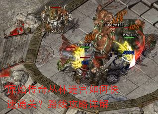 原始传奇丛林迷宫如何快速通关?路线攻略详解 原始传奇丛林迷宫如何快速通关?路线攻略详解