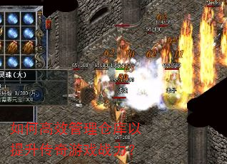 ��θ�Ч�����ֿ�������������Ϸս����
