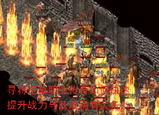 Ѱ���ǵ�ְҵ������ο�������ս�����ȡϡ��װ����
