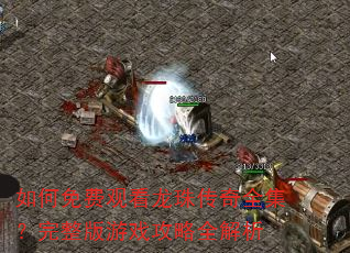 �����ѹۿ����鴫��ȫ������������Ϸ����ȫ����