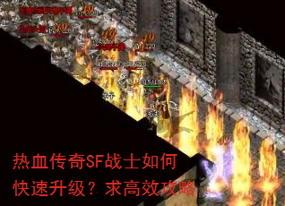 ��Ѫ����SFսʿ��ο������������Ч����