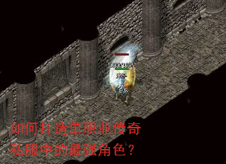 ��δ��쵥ְҵ����˽���е���ǿ��ɫ��