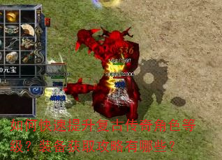 如何快速提升复古传奇角色等级?装备获取攻略有哪些? 如何快速提升复古传奇角色等级?装备获取攻略有哪些?