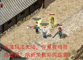 闯荡玛法大陆,你竟被鸡哥追着跑?萌新求教如何逆袭 闯荡玛法大陆,你竟被鸡哥追着跑?萌新求教如何逆袭